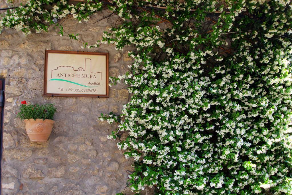 B&B Antiche Mura Tarquinia Kültér fotó