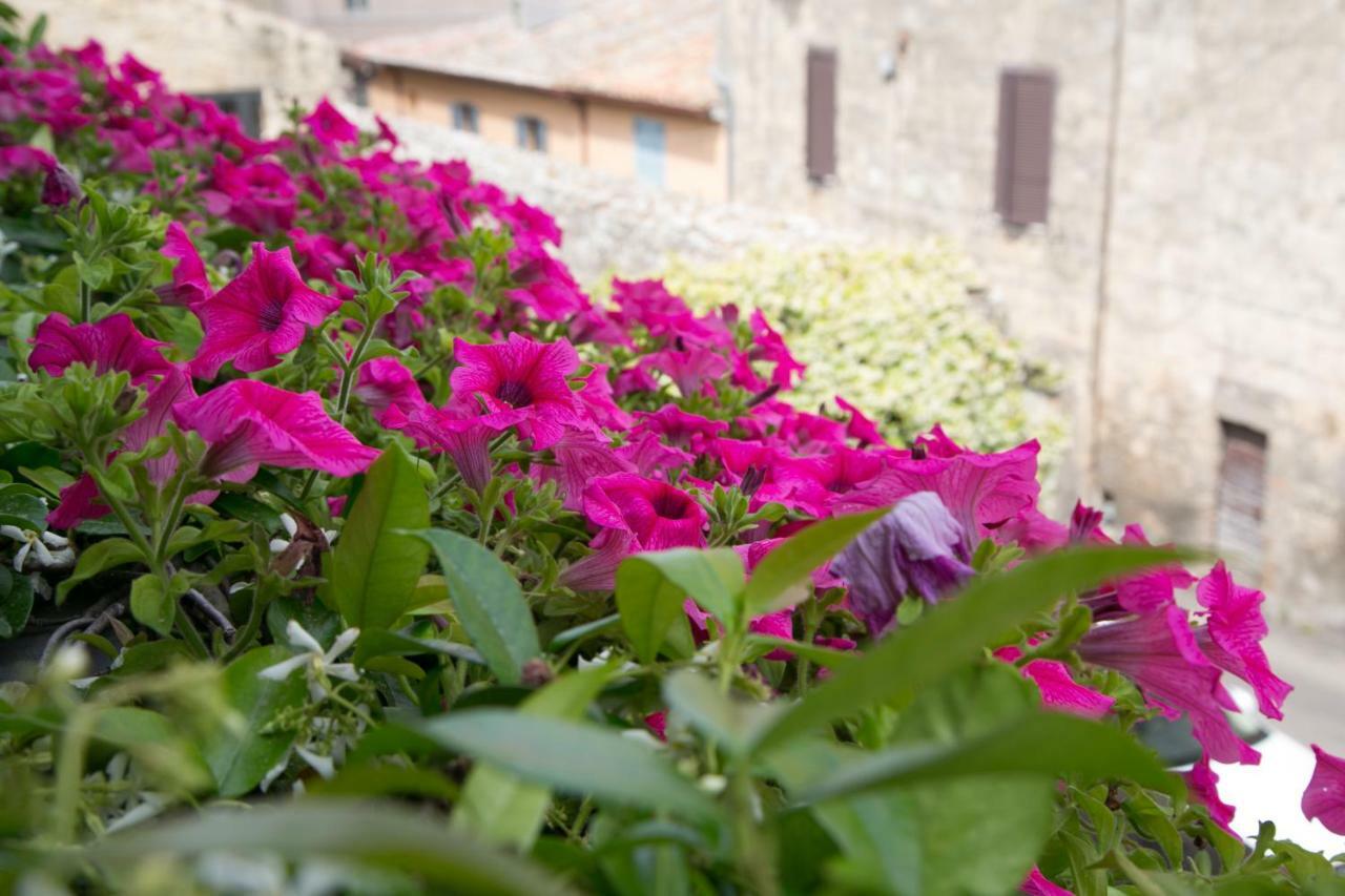 B&B Antiche Mura Tarquinia Kültér fotó